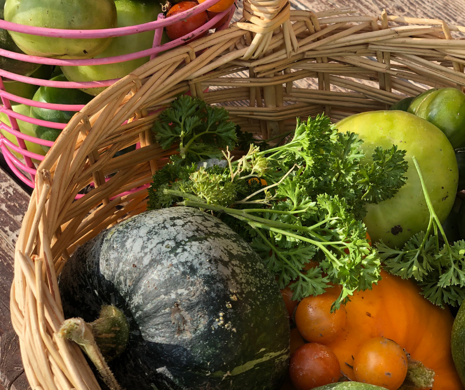 fresh homegrown vegetables in a basket