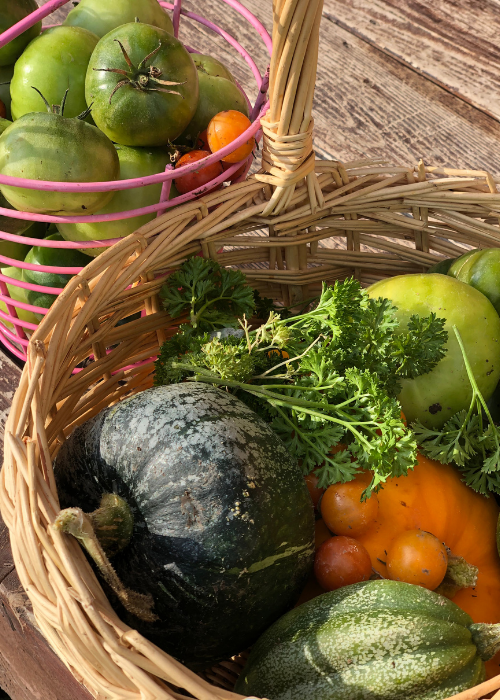 squash, tomatoes, herbs in baskets