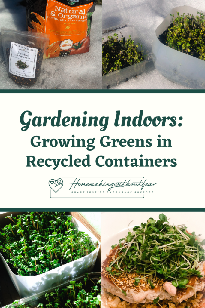 vibrant greens in recycled containers