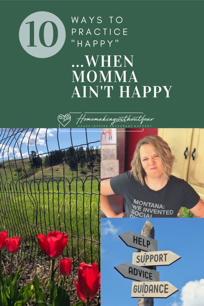 Homemakers, specifically Mommas have a challenging job for sure. Some days we just don't feel super chipper. Some days we just feel well. . . uhnappy. No particular reason maybe. But we don't HAVE to live there. There are some things we can do to feel more joy. Checkout these 10 ways to PRACTICE happiness.