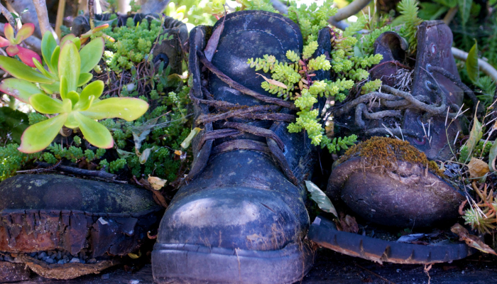 Gardening in small spaces doesn't have to be discouraging or limiting. With 3 easy tips and lots of expert advice you too can grow a beautiful, thriving garden ANYWHERE!