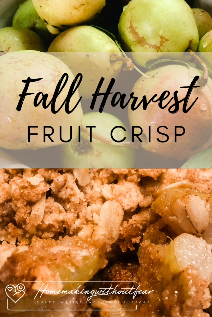 This warm, sweet fruit crisp with a crunchy, cinnamon oatmeal topping is just the BEST. As the weather begins to cool slightly apples, pears, peaches and even plums ripen and a Fall Harvest Fruit Crisp is the PERFECT way to enjoy the fruitful bounty. This crisp is a cinch to put together with pantry staples and is WONDERFUL with Homemade Ice cream. You could really use any fruit, berry or combination of fruit, fresh or frozen. Today I picked pears. Come along with me!