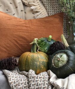 Decorating for Fall is one of my very favorite things to do to make my home feel warm and cozy. I love looking at all the beautiful wreaths, pumpkins and warm earthy colors of throw pillows and fabrics in stores BUT man they are expensive! Fortunately with a few basic craft supplies, it is not difficult to create INEXPENSIVE Fall Decor. Let me show you how to make these cute signs. Having a cutting machine like a Silhouette or Cricut  is helpful but certainly not necessary. 