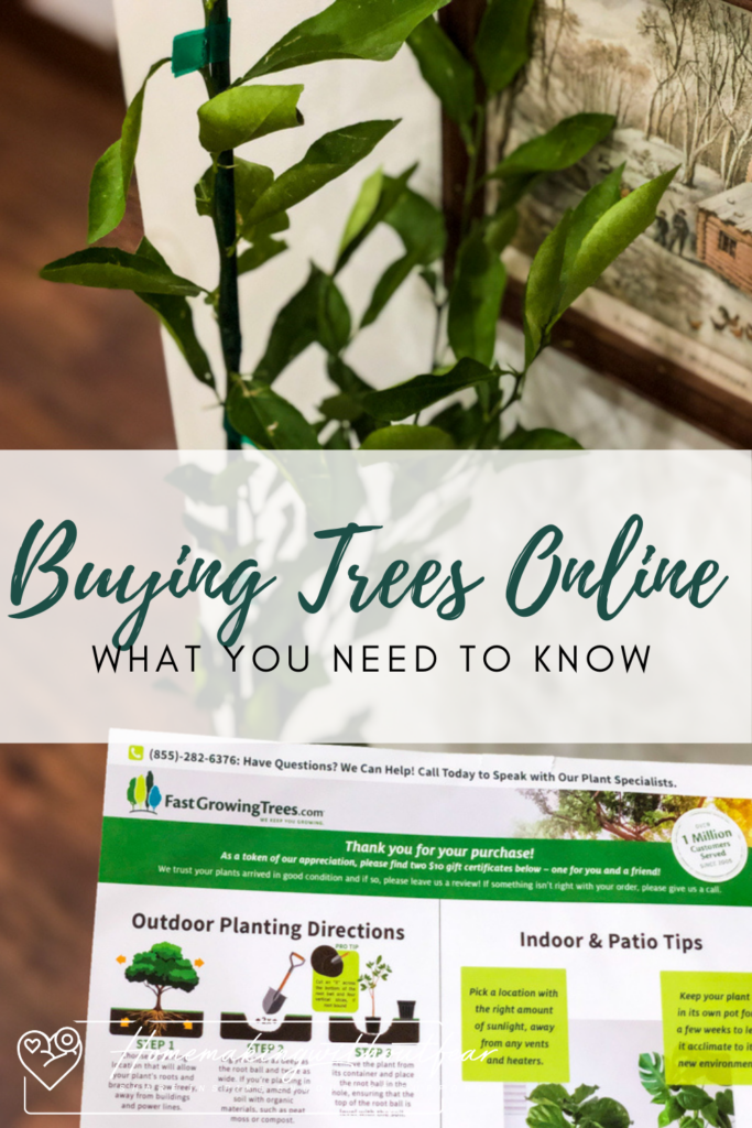 I get it ! Trees are EXPENSIVE. They are an investment in the first place and huge commitment to care for. You want to make sure that what you spend your hard earned money on will GROW and be everything you what them to be. Fear not! There are many affordable, reliable and most importantly RESPONSIBLE options out there. Here are the Top 4 Places to Buy Trees Online and WHY.