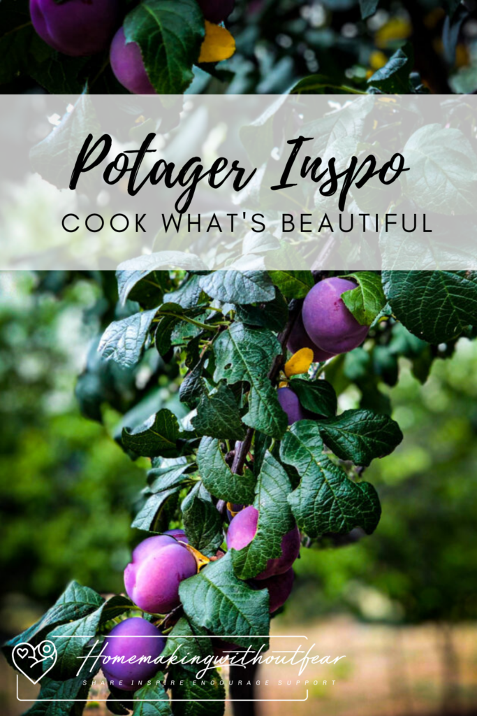 A Potager Garden is a homemaker's pride and joy. A "kitchen garden" that is truly your teammate in the daily grind of meal making. A space of BEAUTY and BOUNTY, it is truly way more than the sum of it's humble parts. Won't you join me in my Small Potager Garden for a lil' inspiration?