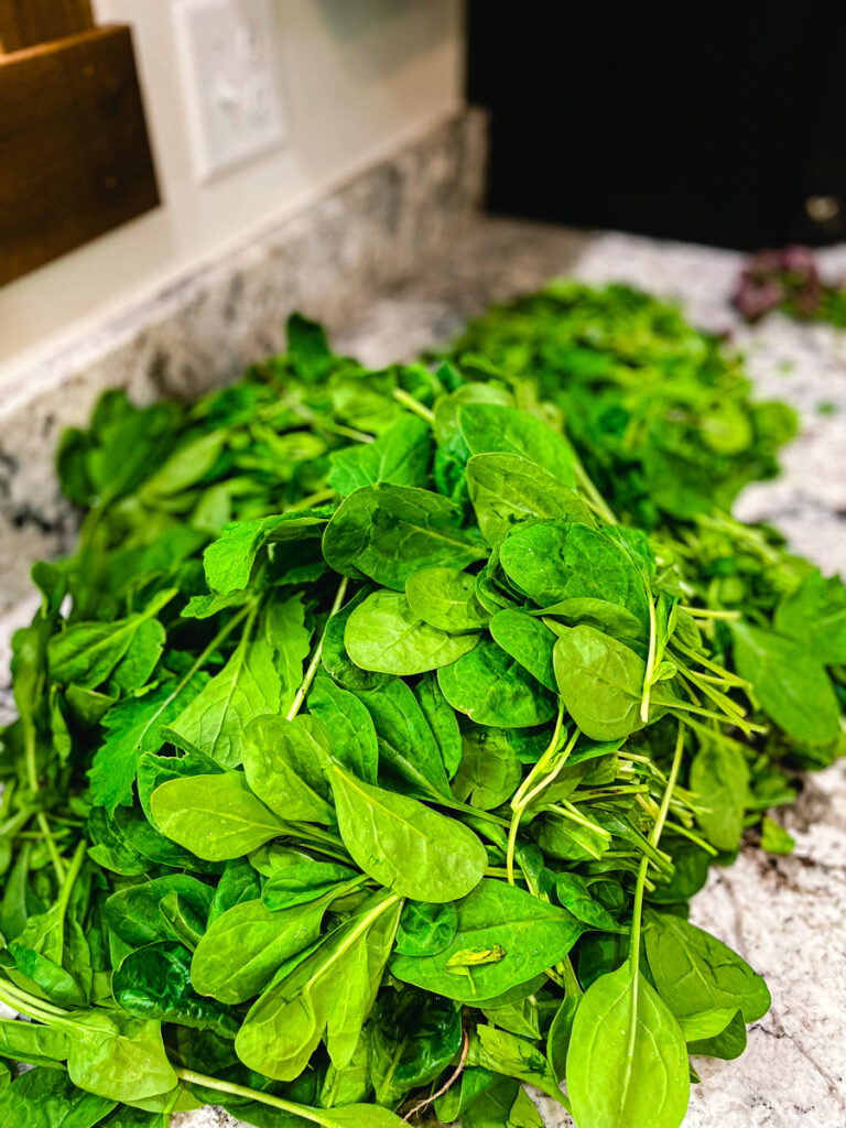 A Potager Garden is a homemaker's pride and joy. A "kitchen garden" that is truly your teammate in the daily grind of meal making. A space of BEAUTY and BOUNTY, it is truly way more than the sum of it's humble parts. Won't you join me in my Small Potager Garden for a lil' inspiration. 