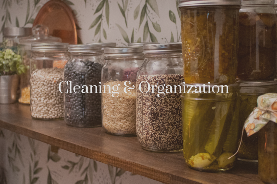 Homemaking without Fear Cleaning & Organization
