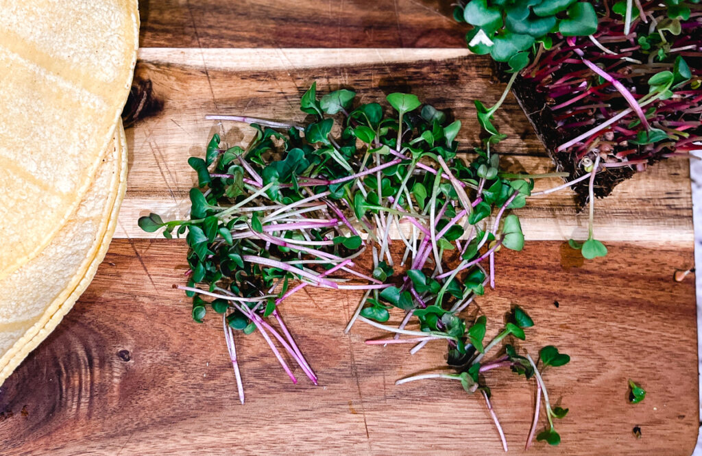 Colorful Radish Microgreens