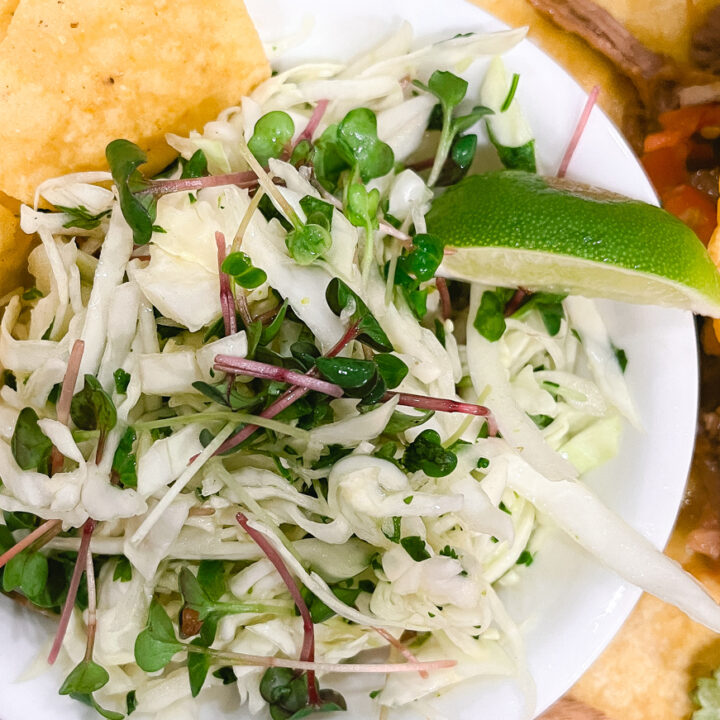 Microgreen Radish Mexican Coleslaw in white bowl with corn tortilla chips