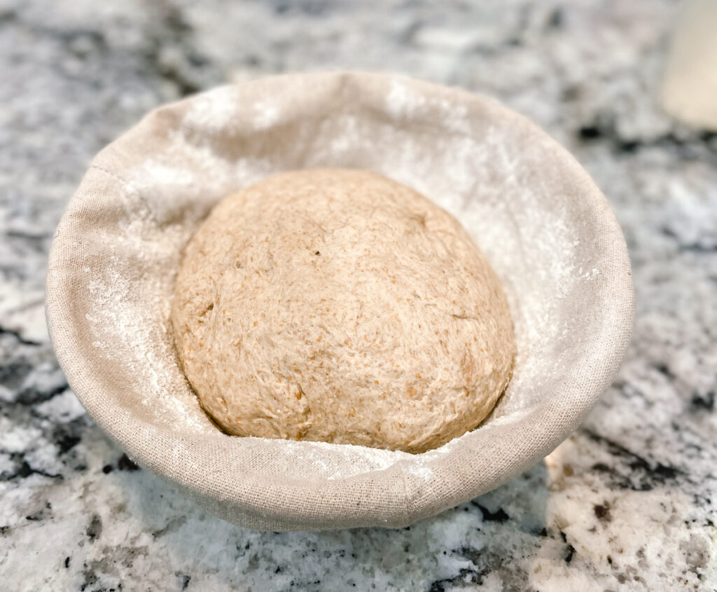 Sourdough formed into ball and in floured banneton