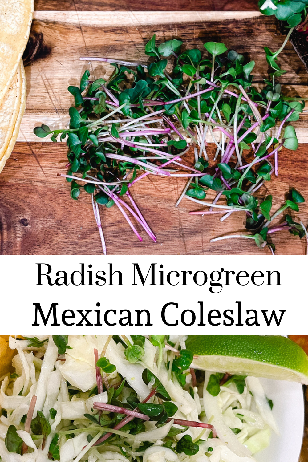 Microgreen Radish Mexican Coleslaw Homemaking Without Fear
