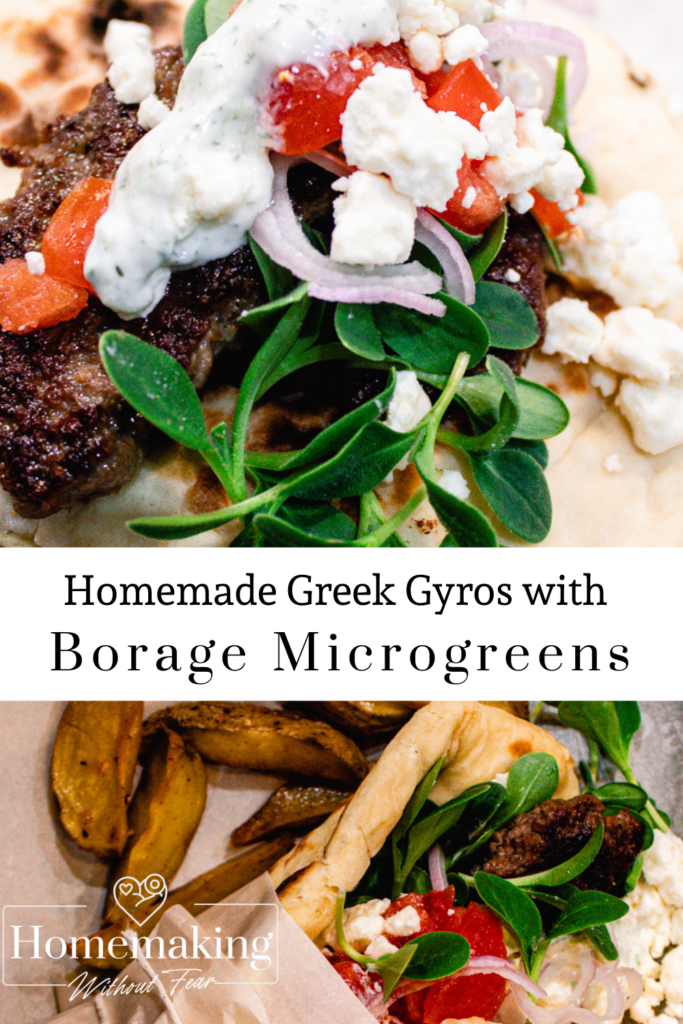 Homemade Greek Gyro With Borage Microgreens