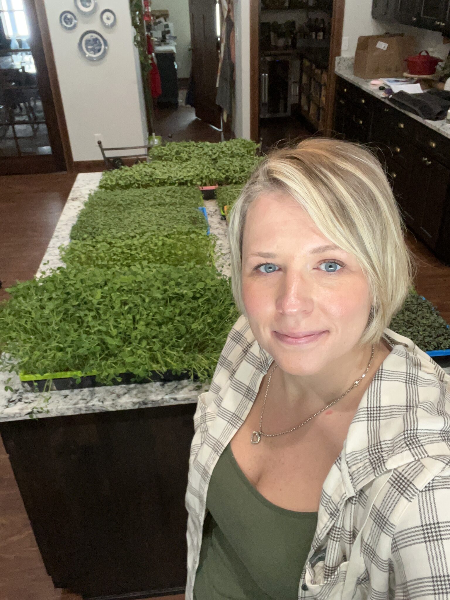 Homemade Ground Venison Greek Gyro Meat Recipe